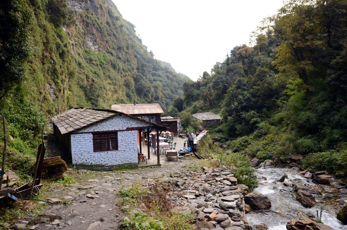 08 Banthanti On The Way From Ghorepani To Tadapani On The Way To Chomrong 